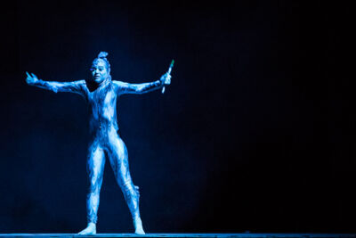 Lord of the Dance @ Lotto Arena, picture 2, photographed by Dorien Goetschalckx - FrontView Magazine