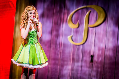 De Grote Sinterklaasshow 2014 @ Sportpaleis, foto 18, foto's door Elke Briers - FrontView Magazine