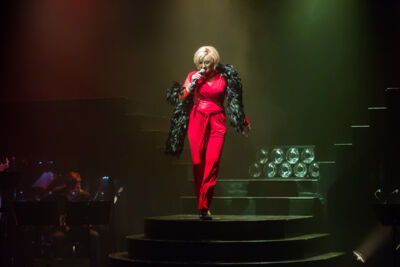 Hotel Vocal - Jubileumshow @ Fakkelteater te Antwerpen, picture 7, photographed by Guy Danneels - FrontView Magazine