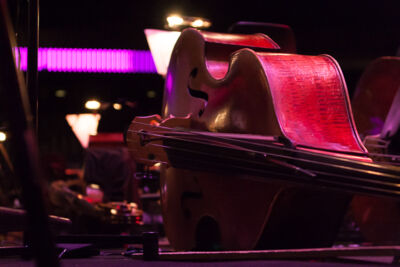Lord of the Rings in Concert @ Sportpaleis, picture 1, photographed by Alex Wyckmans - FrontView Magazine