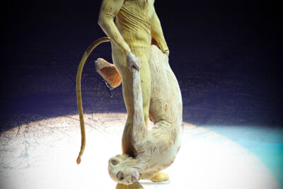 Disney On Ice @ Lotto Arena, picture 78, photographed by Freya Goossens - FrontView Magazine