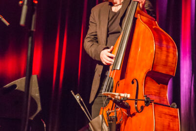 Jean-Paul Estievenart Trio @ De Casino St.-Niklaas, picture 27, photographed by Guy Danneels - FrontView Magazine