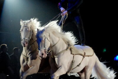 Apassionata @ Bielefeld, picture 18, photographed by Peter Minnebo - FrontView Magazine