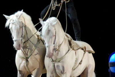 Apassionata @ Bielefeld, picture 19, photographed by Peter Minnebo - FrontView Magazine