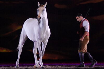 Apassionata @ Bielefeld, picture 27, photographed by Peter Minnebo - FrontView Magazine