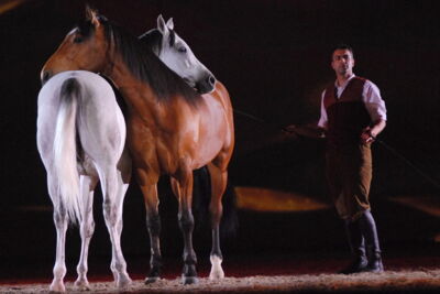 Apassionata @ Bielefeld, picture 33, photographed by Peter Minnebo - FrontView Magazine