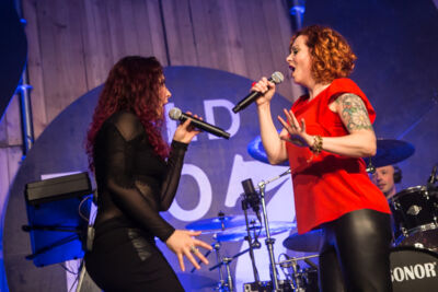 The Gentle Storm @ Paaspop 2015, picture 34, photographed by Dorien Goetschalckx - FrontView Magazine