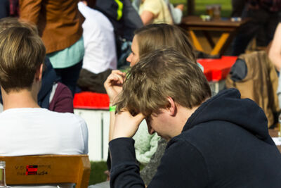 Bluesem @ Brasschaat, picture 39, photographed by Walter Grimm - FrontView Magazine