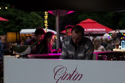 Bluesem @ Brasschaat, picture 66, photographed by Walter Grimm - FrontView Magazine