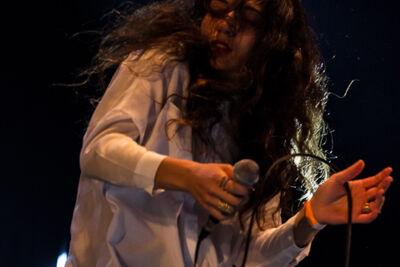 Bluesem @ Brasschaat, picture 71, photographed by Walter Grimm - FrontView Magazine
