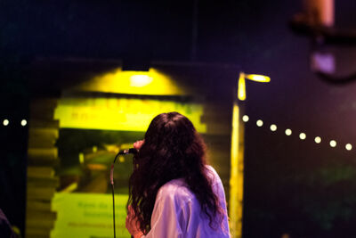 Bluesem @ Brasschaat, picture 74, photographed by Walter Grimm - FrontView Magazine