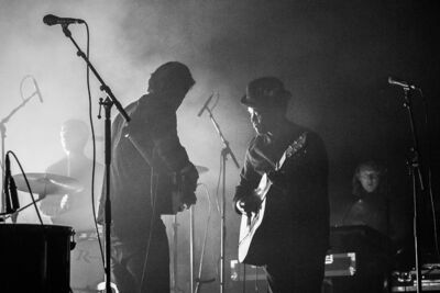 Dotan @ Gladiolen 2015 Dag 1, foto 8, foto's door Guy Danneels - FrontView Magazine