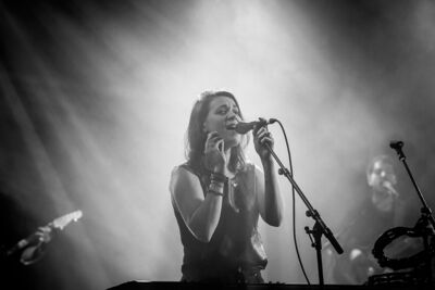 Dotan @ Gladiolen 2015 Dag 1, foto 32, foto's door Guy Danneels - FrontView Magazine