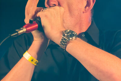 Howlin Bill @ Duvelblues, foto 9, foto's door Marc Verdonck - FrontView Magazine