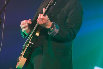 Rick Vito & Lucky Devils (USA) @ Duvelblues, picture 15, photographed by Marc Verdonck - FrontView Magazine