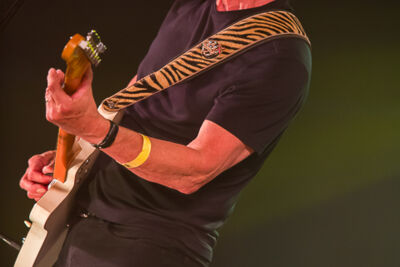 Rick Vito & Lucky Devils (USA) @ Duvelblues, picture 19, photographed by Marc Verdonck - FrontView Magazine