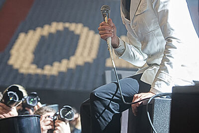 The Hives @ Rock Im Revier 2015, foto 29, foto's door Edwin Houdevelt - FrontView Magazine
