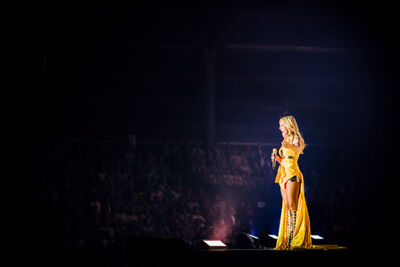 Helene Fischer - Farbenspiel @ Ethias Arena, picture 8, photographed by Elke Briers - FrontView Magazine