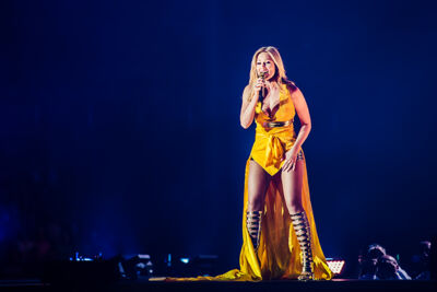 Helene Fischer - Farbenspiel @ Ethias Arena, picture 9, photographed by Elke Briers - FrontView Magazine
