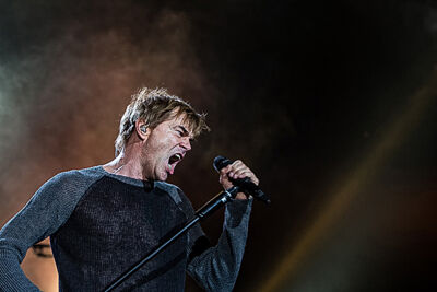 Die Toten Hosen @ Rock Am Ring 2015, foto 11, foto's door Edwin Houdevelt - FrontView Magazine