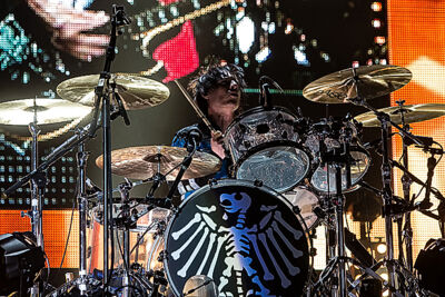 Die Toten Hosen @ Rock Am Ring 2015, foto 23, foto's door Edwin Houdevelt - FrontView Magazine