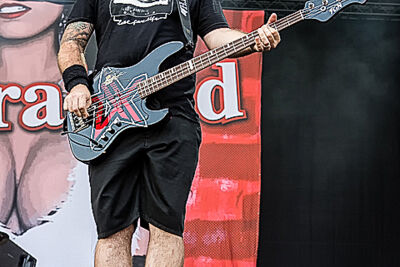 ZebraHead @ Rock Am Ring 2015, picture 14, photographed by Edwin Houdevelt - FrontView Magazine