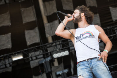Vinegar Hill @ NOVA ROCK 2015, picture 3, photographed by Dorien Goetschalckx - FrontView Magazine