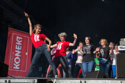 Sfeerbeelden - Rock for Specials 2015 - Dag 1 @ Evergem, foto 68, foto's door Guy Danneels - FrontView Magazine