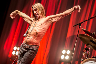 Iggy Pop @ Down The Rabbit Hole 2015, picture 11, photographed by Dorien Goetschalckx - FrontView Magazine