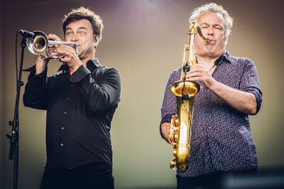 De Dijk @ Night at the Park 2015, foto 6, foto's door Elke Briers - FrontView Magazine
