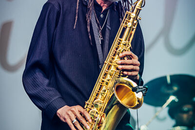 UB40 @ Night at the Park 2015, picture 8, photographed by Elke Briers - FrontView Magazine