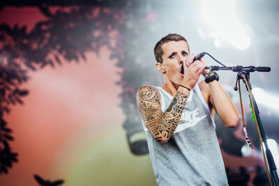 K's Choice @ Night at the Park 2015, picture 17, photographed by Elke Briers - FrontView Magazine