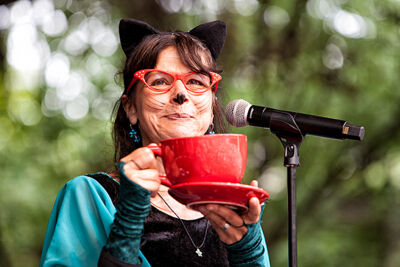 Kapitein Winokio @ Openlucht theater Rivierenhof, picture 15, photographed by Frank Lambrechts - FrontView Magazine