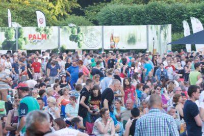 Palm Parkies Sfeer @ Aalst, picture 7, photographed by Bart Baevegems - FrontView Magazine