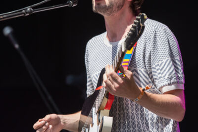 Great Mountain Fire @ Les Ardentes 2015, foto 8, foto's door Dorien Goetschalckx - FrontView Magazine
