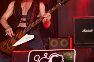 Rock Zottegem - Saxon @ Rock Zottegem, vrijdag 10 juli 2015, foto 24, foto's door Pascal Liagre - FrontView Magazine