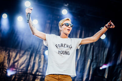 Vlaanderen Feest @ Grote Markt Antwerpen, foto 34, foto's door Elke Briers - FrontView Magazine