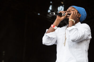 Pressure @ Reggae Geel, picture 10, photographed by Stef Dierckx - FrontView Magazine