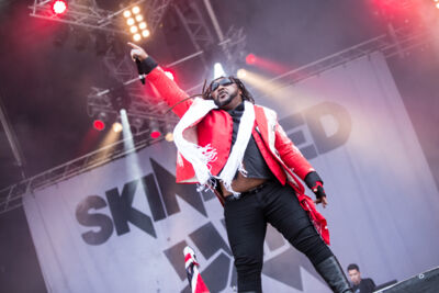 Skindred @ Wacken Open Air 2015, foto 19, foto's door Dorien Goetschalckx - FrontView Magazine