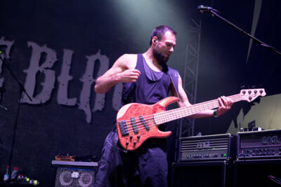 Beyond the Black @ Wacken Open Air 2015, picture 4, photographed by Dorien Goetschalckx - FrontView Magazine