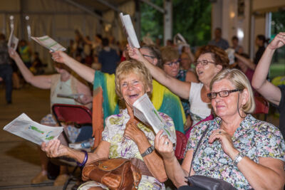 Podium & Sfeer @ Vlaanderen Zingt 2015 in Schoten, picture 4, photographed by Guy Danneels - FrontView Magazine