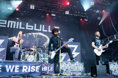 Emil Bulls @ Summer Breeze 2015, picture 18, photographed by Dorien Goetschalckx - FrontView Magazine