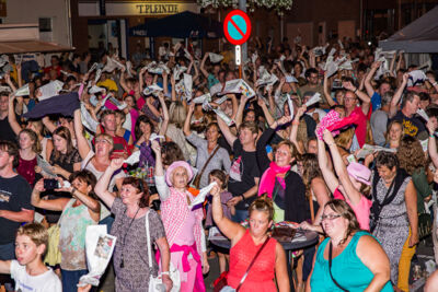 Podium & Sfeer @ Vlaanderen Zingt 2015 in St.-Katelijne-Waver, picture 138, photographed by Guy Danneels - FrontView Magazine