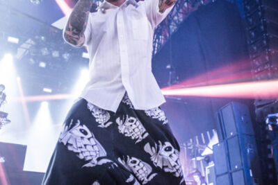 Limp Bizkit @ Lowlands 2015, picture 16, photographed by Dorien Goetschalckx - FrontView Magazine