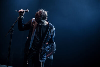 Tout Va Bien @ Crammerock 2015, picture 1, photographed by Elke Briers - FrontView Magazine