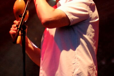 The Proclaimers @ Hickstead Boomerang Festival (UK), foto 2, foto's door Peter Minnebo - FrontView Magazine