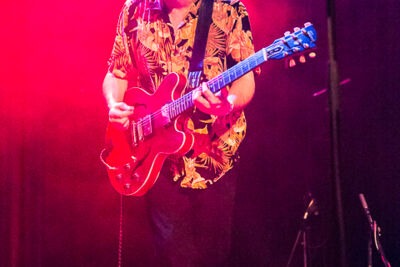 The Hickey Underworld @ De Casino Sint-Niklaas, picture 48, photographed by Guy Danneels - FrontView Magazine