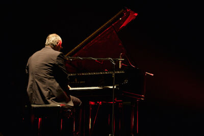 Bart Herman Solo @ CC Merksem, picture 4, photographed by James Van Roosbroeck - FrontView Magazine