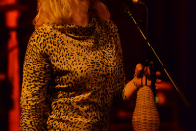 King Dalton @ Dommelhof - Zwarte doos, picture 6, photographed by Johan Luykx - FrontView Magazine