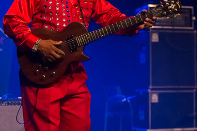 Lil’ Ed and the Blues Imperials @ Blues in Schoten, picture 7, photographed by Marc Verdonck - FrontView Magazine